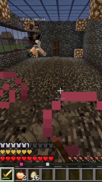Мини игра на выбор в Minecraft (теперь я взаперти…)!🎲