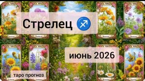 Стрелец ♐, июнь 2026