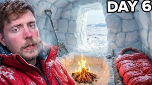 7 дней выживания в Арктике