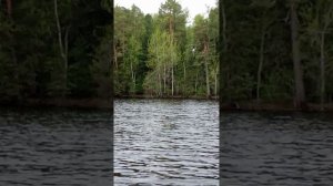 1000029306.mp4