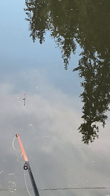 поимка щуки на тесто 🐟🐟