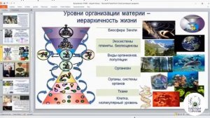 Фрактальность Мальденбро