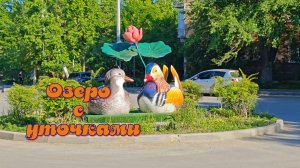 Озеро с утками мандаринками во Владивостоке