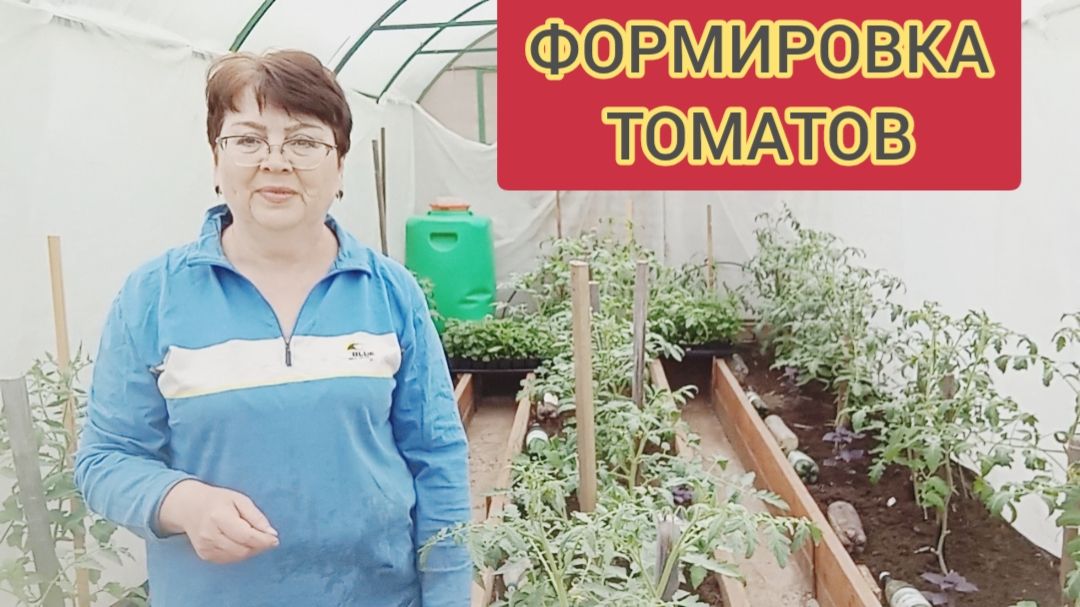 ФОРМИРОВКА ТОМАТОВ СОГЛАСНО РЕКОМЕНДАЦИЯМ 🍅👍31.05.26г