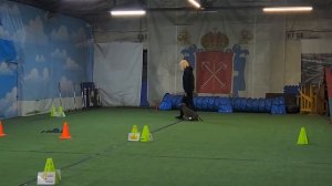 Крылова Ирина и Вася. Класс РО2. Кубок Панды 2026 по Ралли Обидиенс онлайн