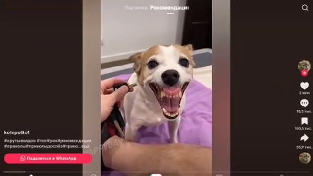 хз чё писать смотреть онлайн