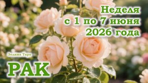 РАК | ТАРО прогноз на неделю с 1 по 7 июня 2026 года