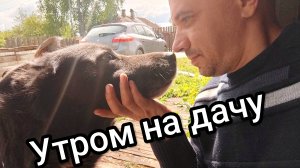 На любимую дачу!