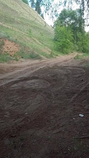 едем домой