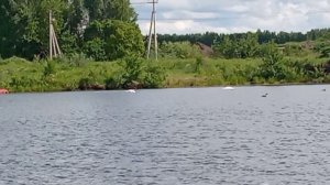 Сладкая парочка