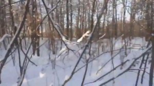 продержись 24 часа или умри ЧАСТЬ 13