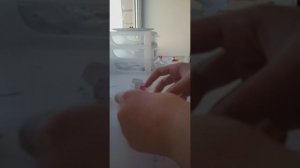 новаЯ собака