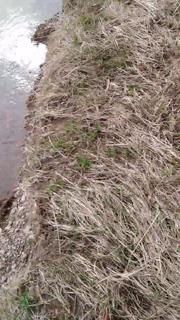 ✔Рыбалка🎣 на реке🌊. Часть 2✔