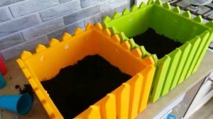 Выращивания томатаТоматы на подоконникеКак вырастить помидоры круглый год