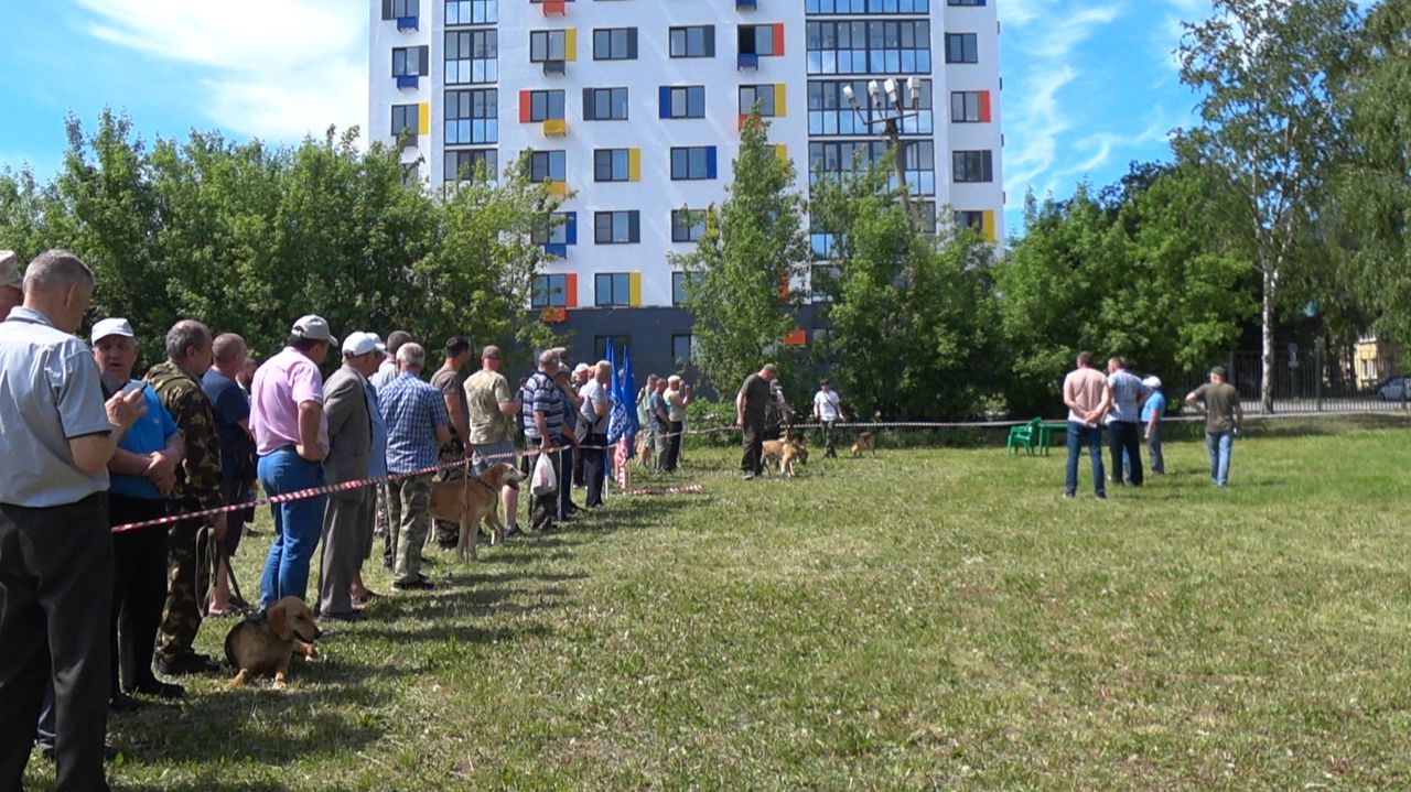 Выставка охотничьих собак г Пенза 23.05.26 смотреть онлайн