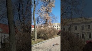 Бьют часы на Минской ратуше. 21 марта 2026