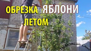 Как Обрезать Яблоню Летом правильно