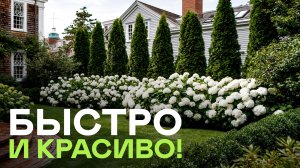 От соседей спасает живая изгородь! Выбираем правильные растения