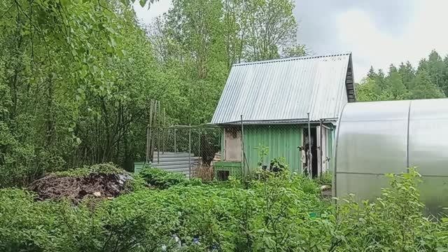 Я  работаю..‼️ Елена Золото и Ольга Бро...