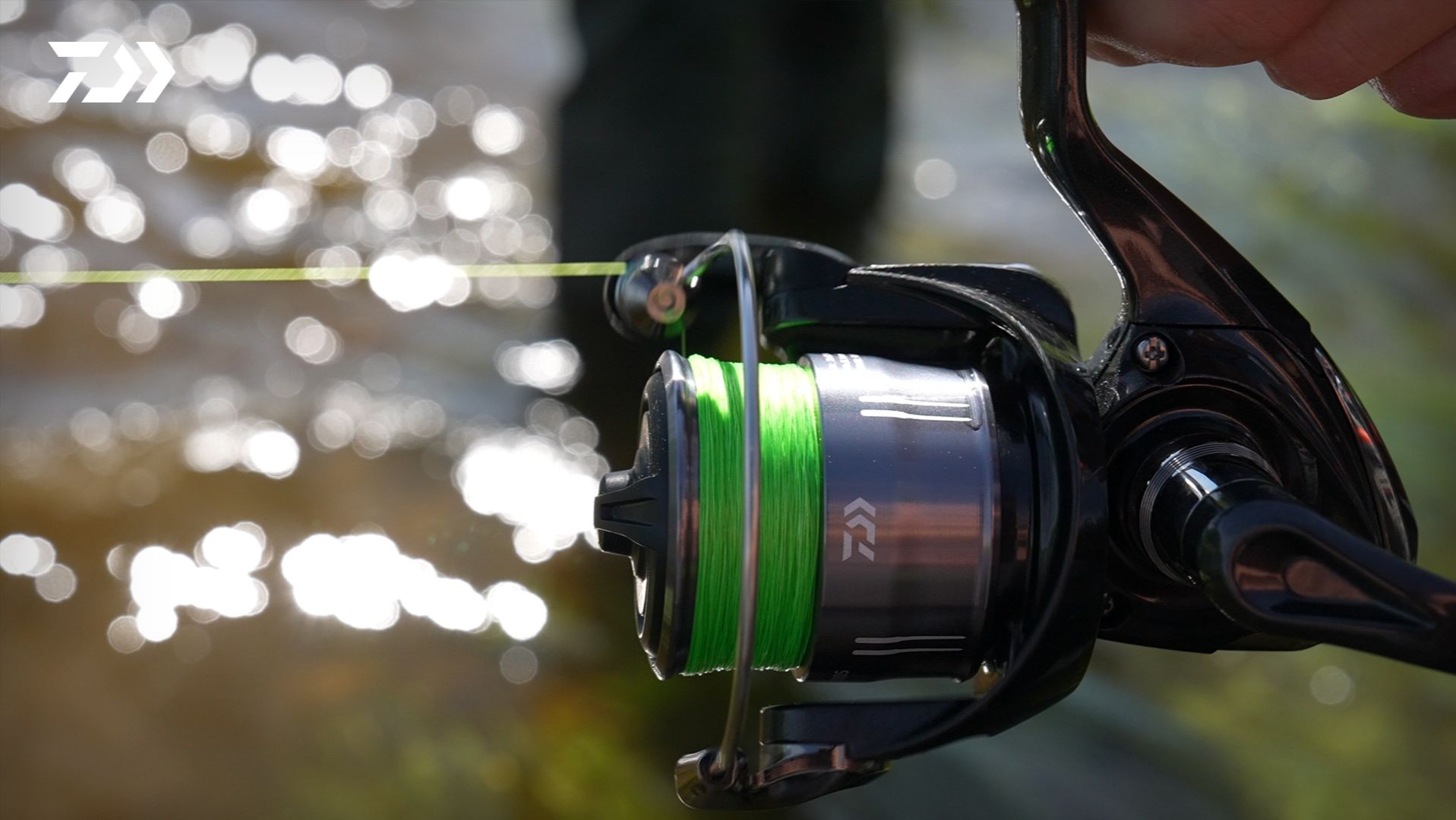 Лучшие бюджетные катушки от DAIWA - 26 CROSSFIRE LT x 22 PROREX MQ LT смотреть онлайн