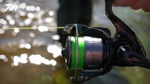 Лучшие бюджетные катушки от DAIWA - 26 CROSSFIRE LT x 22 PROREX MQ LT