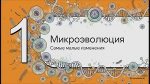 Биология 11 класс § 14 Микроэволюция и макроэволюция