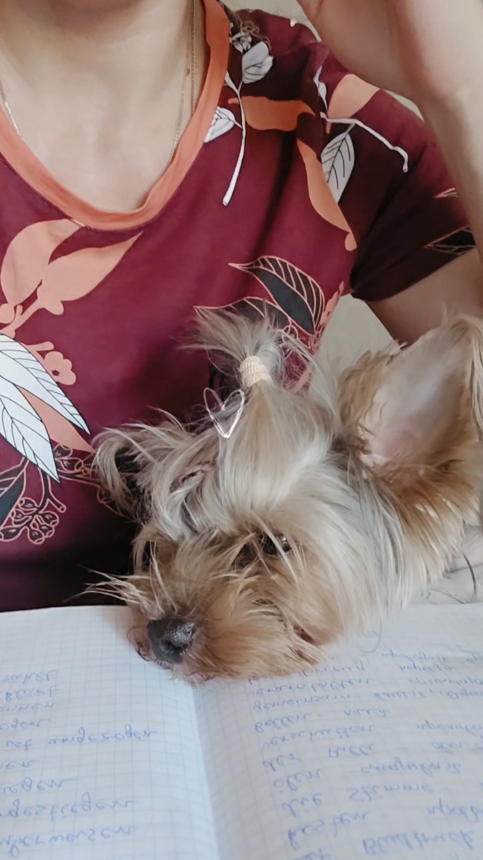 🐶📚💤 Плюша учит немецкий... #shorts