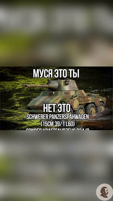 Муся это ты?
