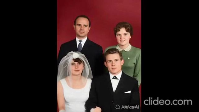 КУСТ РЯБИНЫ