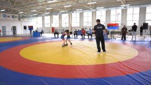 ГРБ. Крымск 2026 г.Вес 31 кг. Новороссийское дерби в за 1 место! Григорян Роберт-Бабоян Армен,