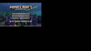 Minecraft 1.21.11