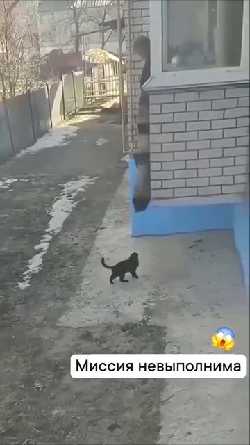 Заходим группой смотреть онлайн