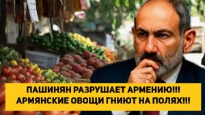 ПАШИНЯН РАЗРУШАЕТ АРМЕНИЮ!!! АРМЯНСКИЕ ОВОЩИ ГНИЮТ НА ПОЛЯХ!!!