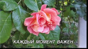 Каждый момент имеет значение