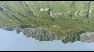 Сталина на вас нет 《 авторские права》