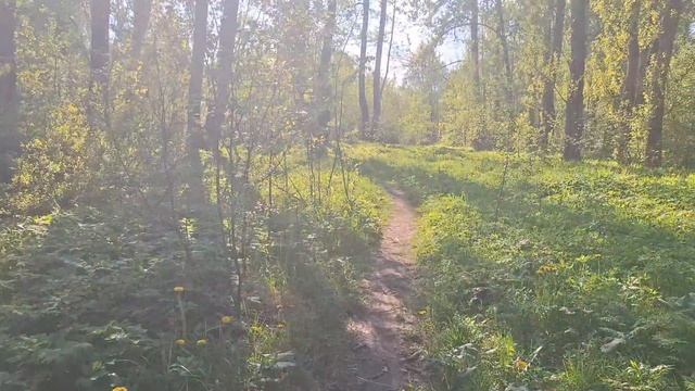 Песня "Уже не такой"