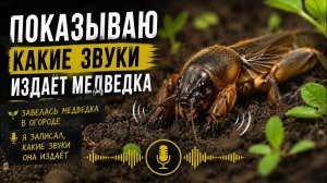 ТАК ПОЁТ МЕДВЕДКА НОЧЬЮ! Реальная запись звука