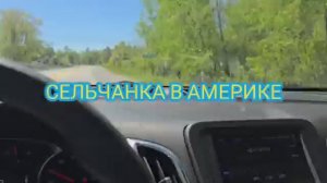 Сельчанка в Америке ЕДУ В ДРУГОЙ ГОРОД ЗА ОГУРЦАМИ
