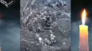 🎼  «Небесная тысяча» Спасибо за видео.