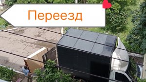 В Ейске четвертый день ливни+16☔ По поводу переезда, это не дёшево. Много кошек выходят через окно.