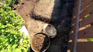 Работы с клубникой весной