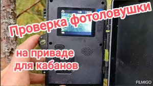 Проверка привады и фотоловушки на кабанов.