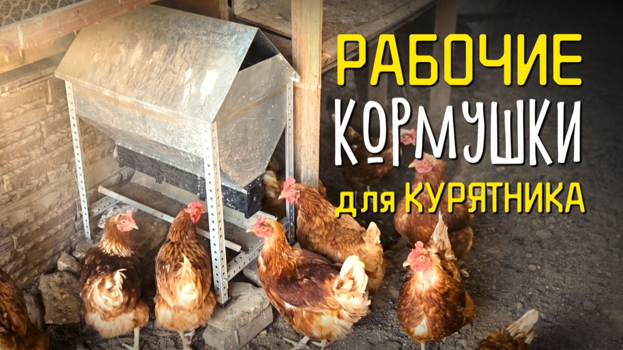 Какие КОРМУШКИ для КУР реально работают? Мой 16-летний опыт 🐔🌾