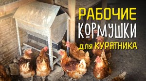 Какие КОРМУШКИ для КУР реально работают? Мой 16-летний опыт 🐔🌾