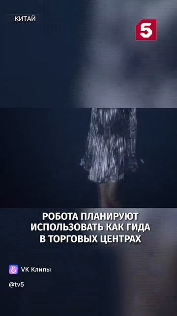 1000010038.mp4