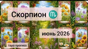 Скорпион  ♏, июнь 2026