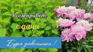 31 мая. Всем привет с ДАЧИ 🏡 Будем знакомиться. И всё с ноля.
