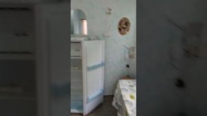 1000387017.mp4