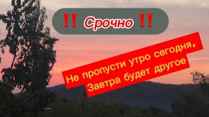 Ошибка! Большая ошибка!...этого не замечать! Остановись...Рассветные горизонты