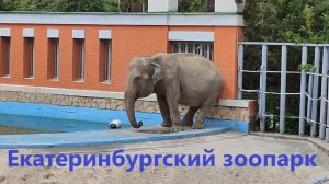 Екатеринбургский зоопарк